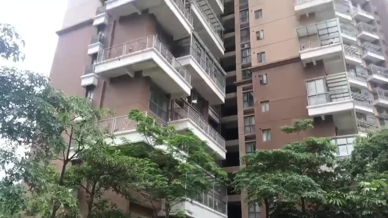 民乐翠园小区龙华梅林关口梅坂大道