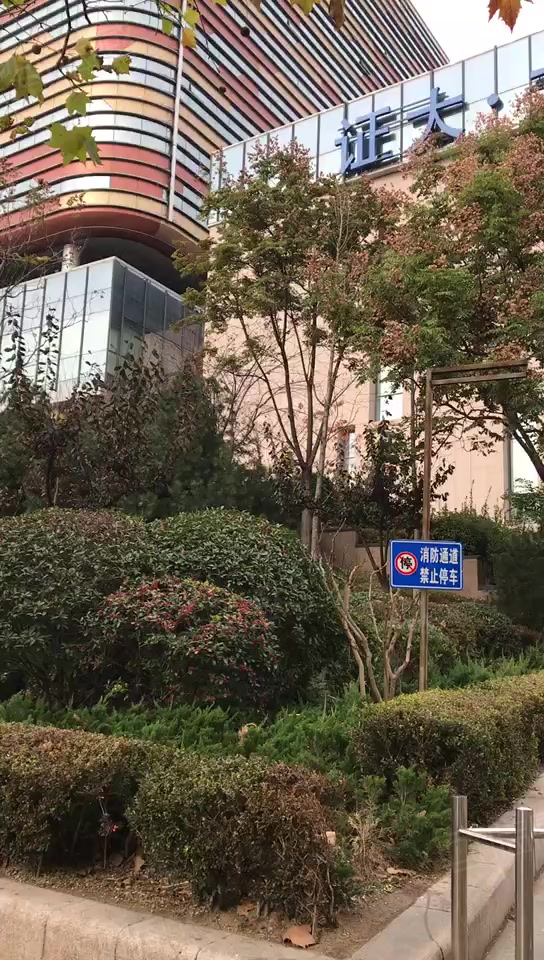 证大大拇指广场(办公) 