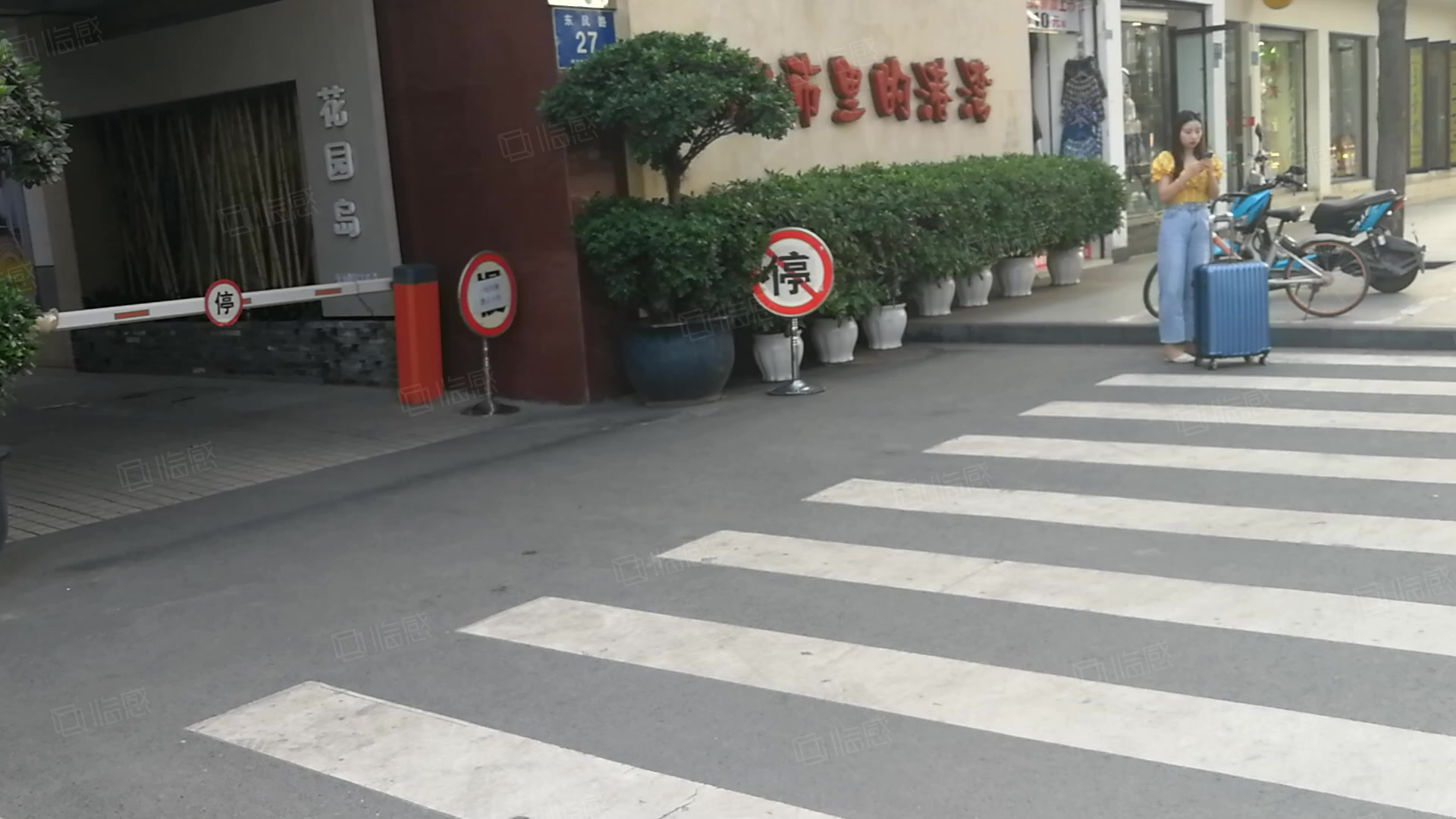 侠客岛里花园岛 