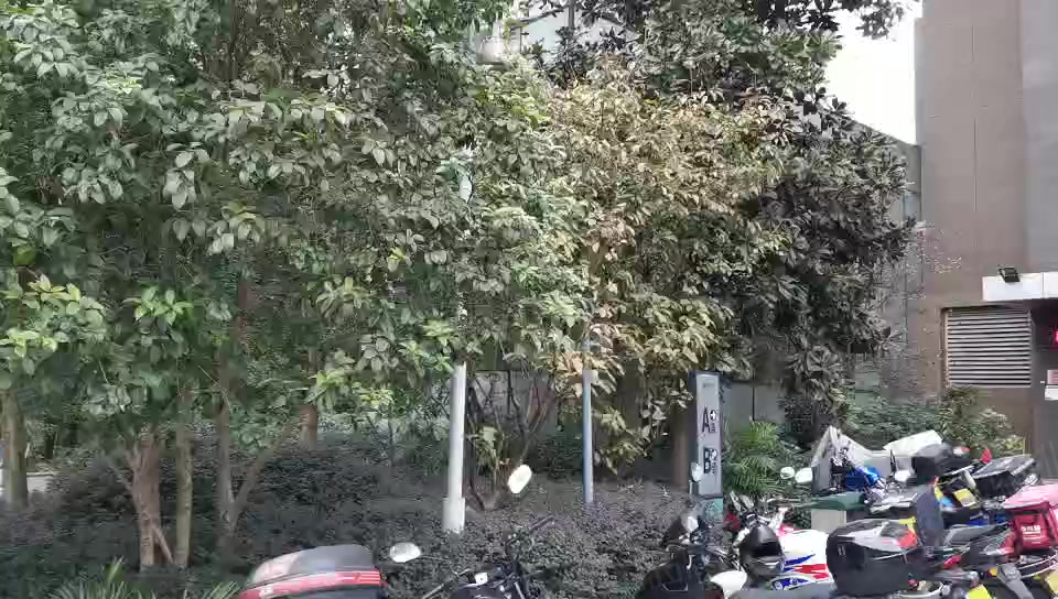 新干线大厦(商住楼) 