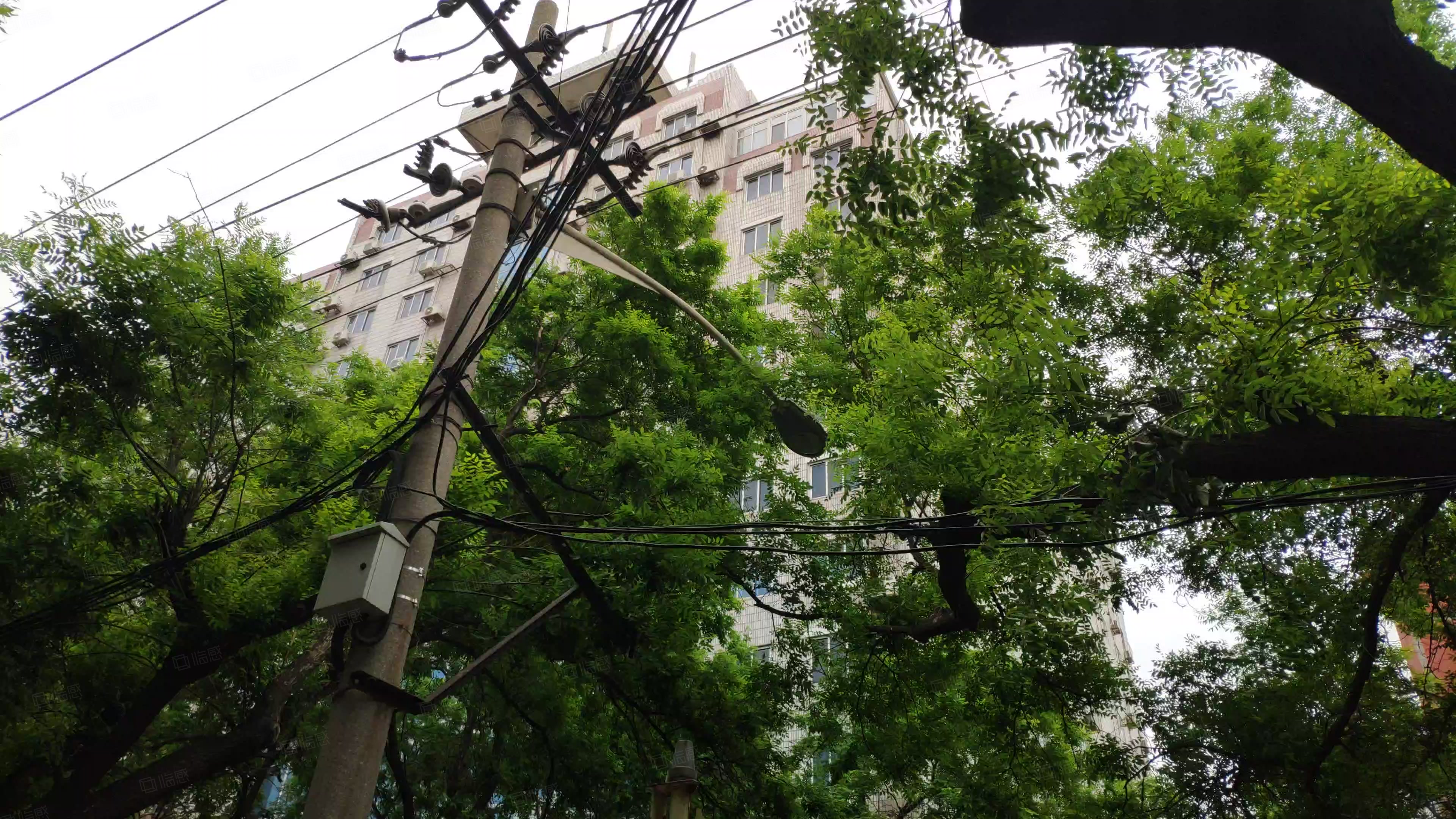 中成大厦