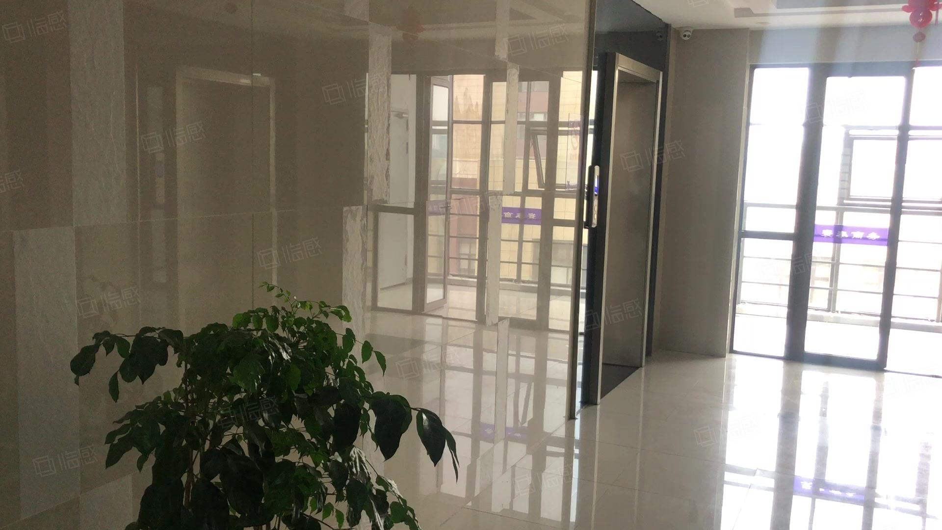 新外贸服务中心 