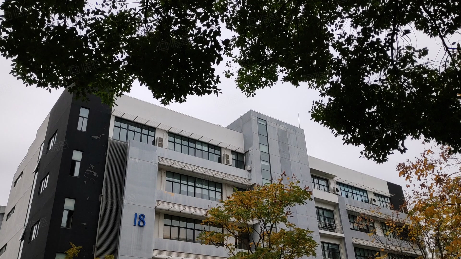漕河泾高科技园写字楼出租/出售信息,漕河泾高科技园租金价格,图片,交通配套 -上海58联合办公网