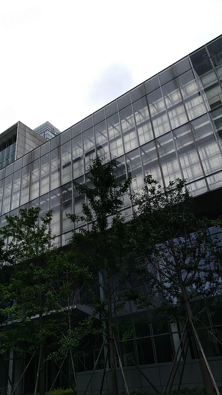 华成国际发展大厦 