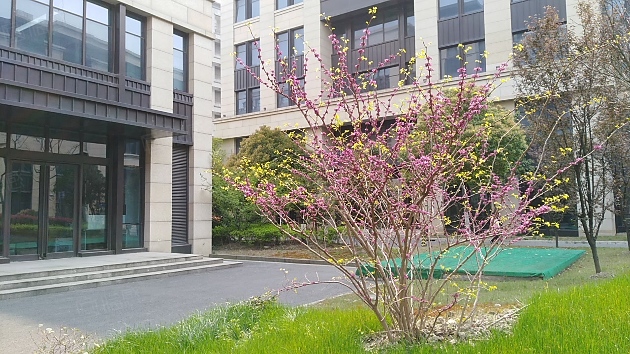 中关村虹桥创新中心 