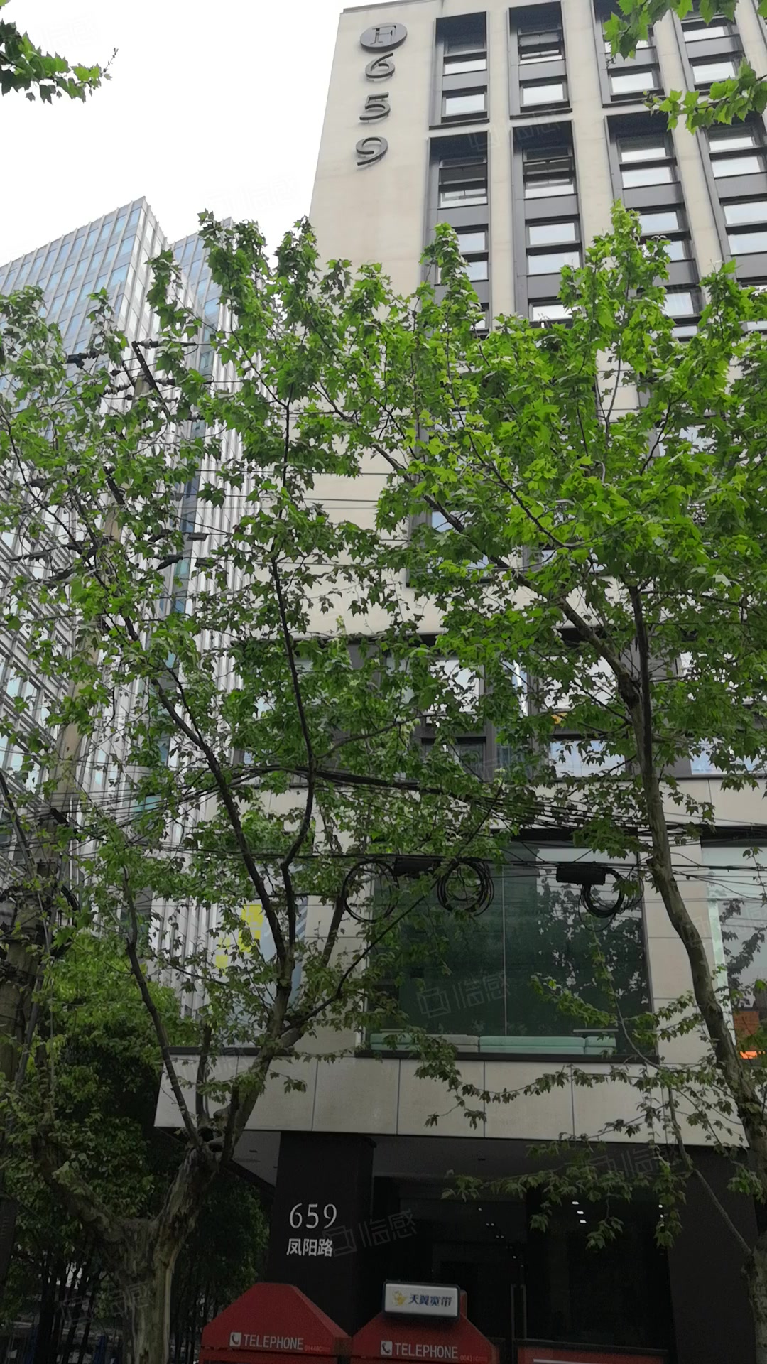 659大厦 