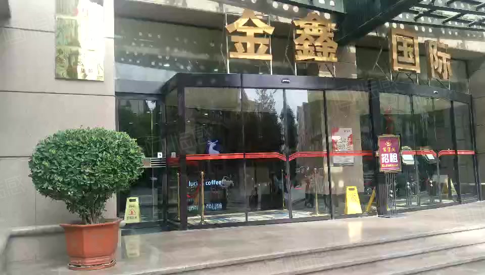 金鑫国际