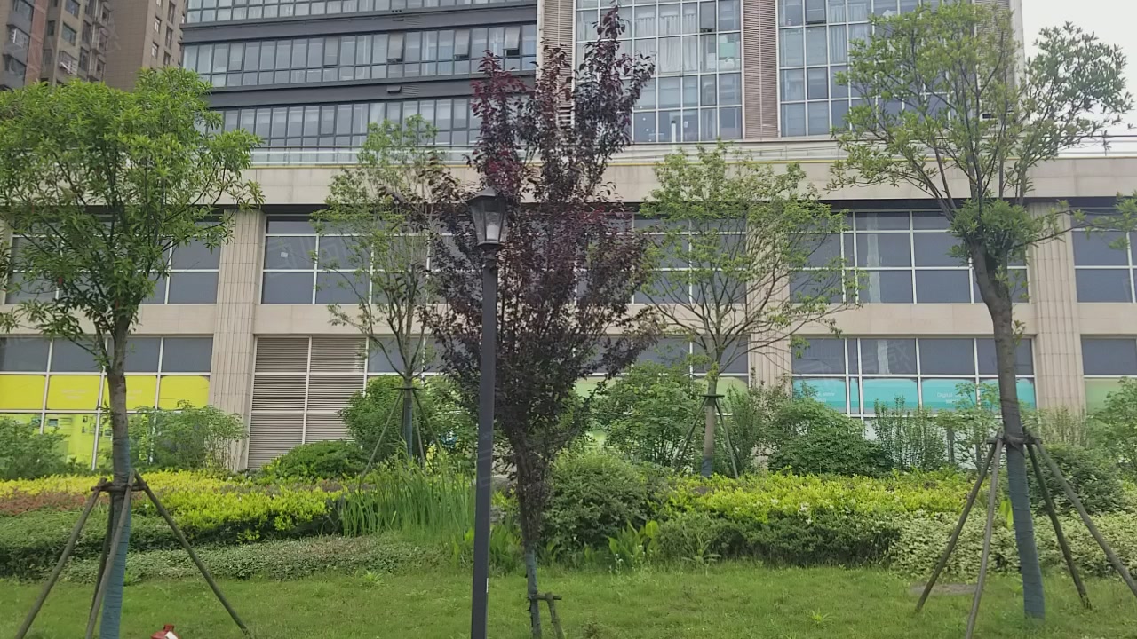 中交锦立方 