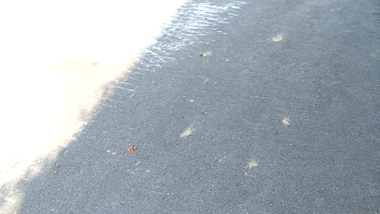 东朝时代四达商务园 