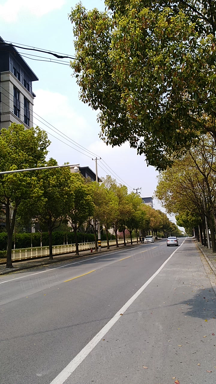 宝路集团汤泉国际 