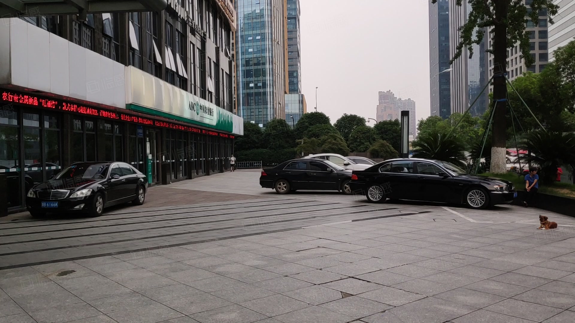 宁波商会国贸中心 