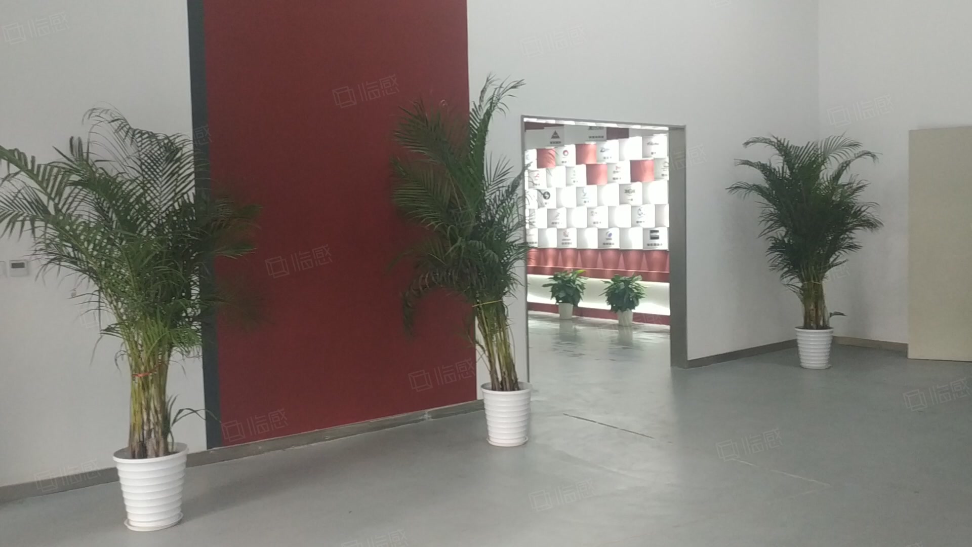 前洋智能经济石成金孵化器 