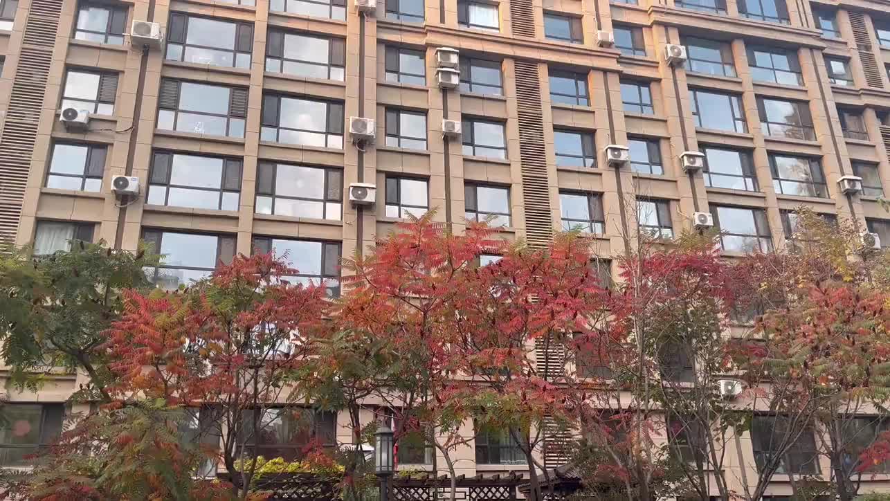 美岸栖庭二期宝山高境高逸路201弄127号