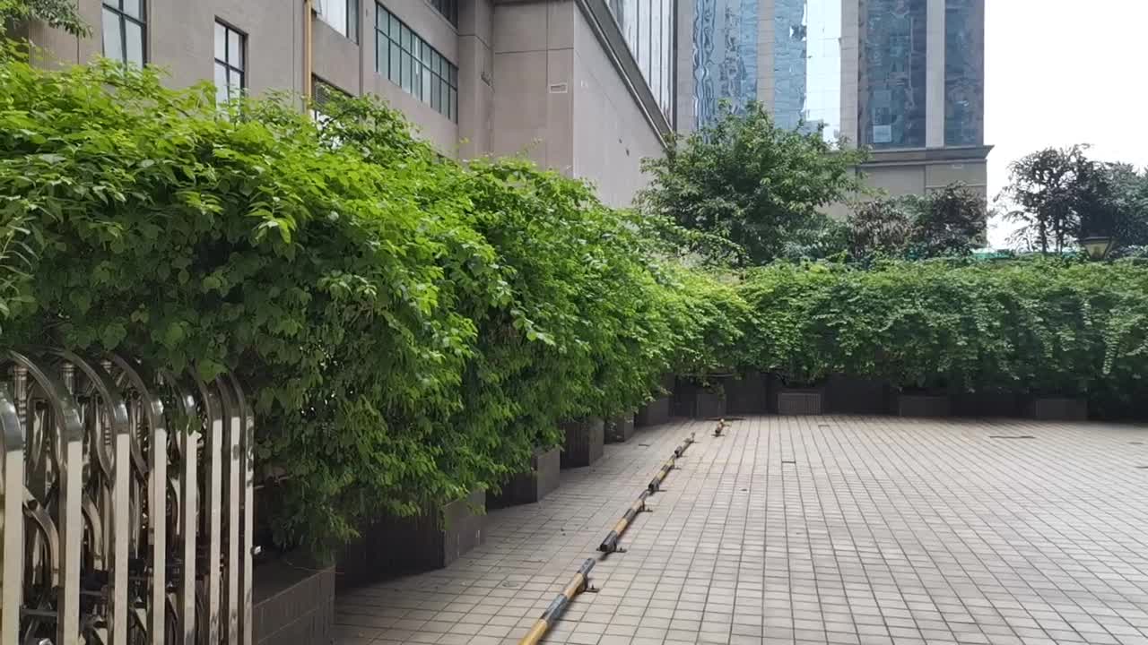 金科景业雍景园图片