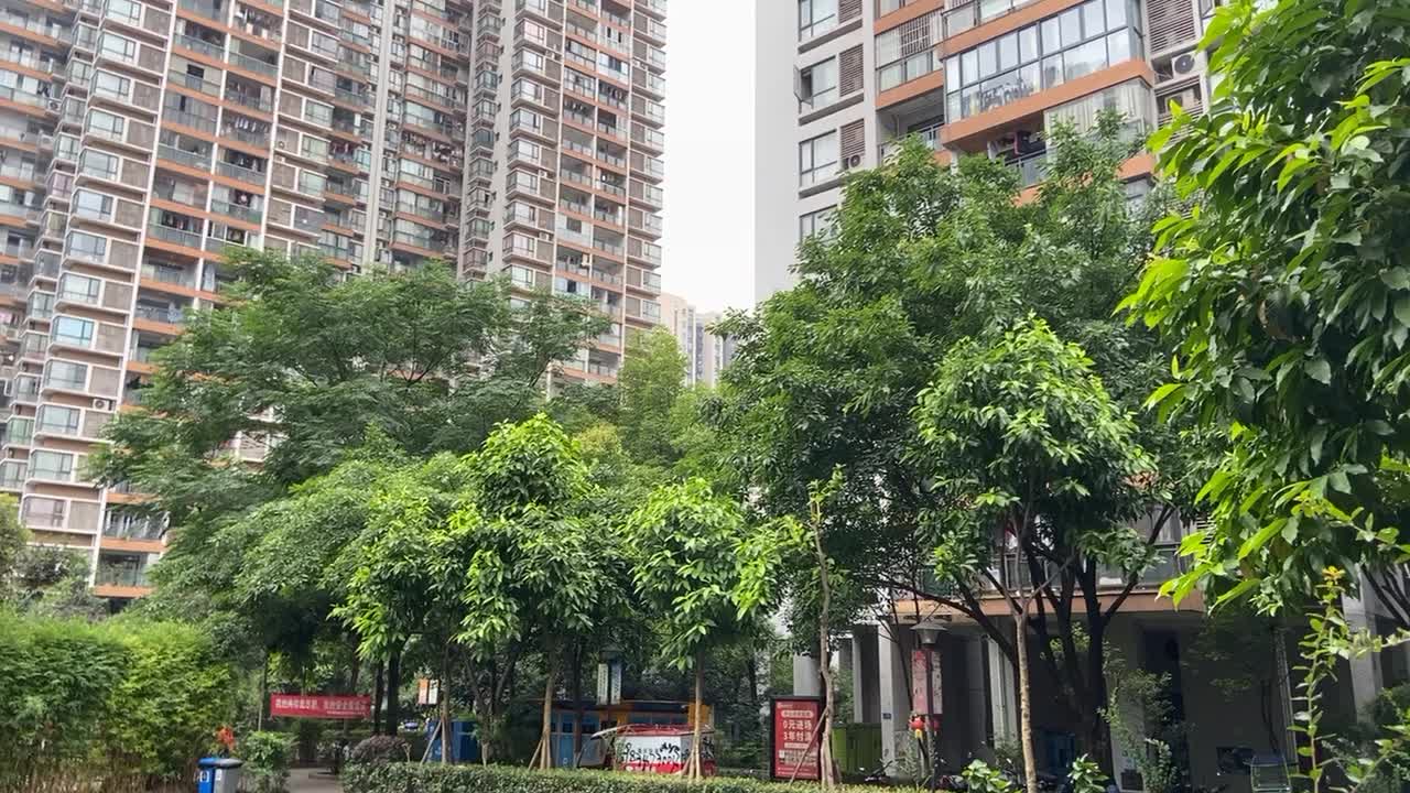 绿洲华府内部,周边环境视频,绿洲华府楼栋外景视频,小区路况配套设施