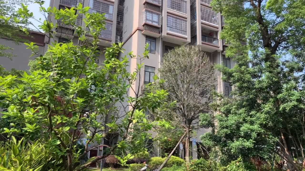 华侨新城 涵江-涵江-六一西路,近塘北街