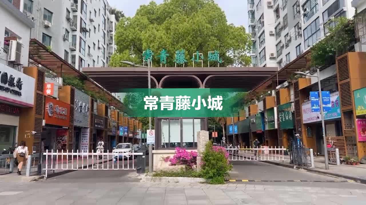 宁波常青藤小城图片