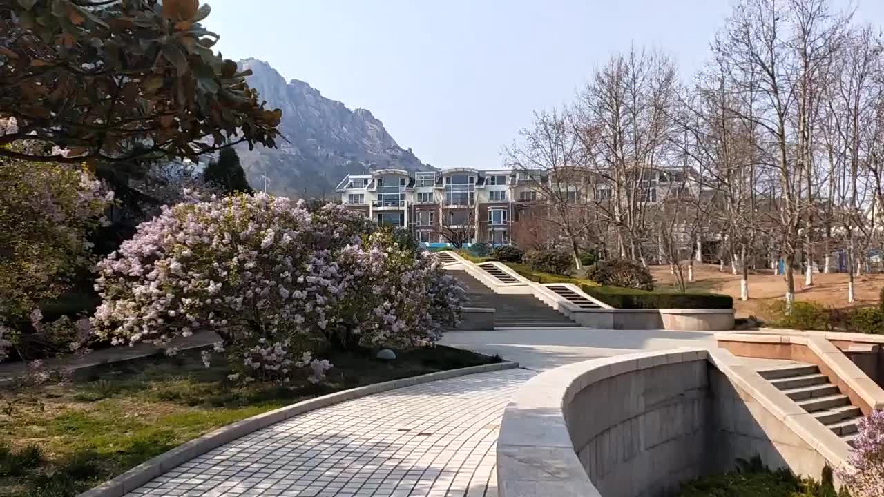 建飞花园 崂山-浮山前-香港东路87号