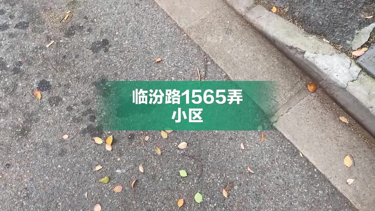 临汾路1565弄图片