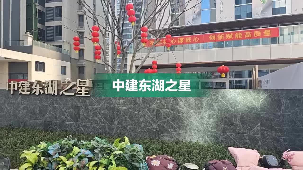 鲁磨路中建东湖之星图片